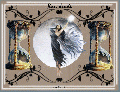 Cliquez pour afficher l'image en taille r�elle