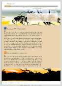 webdesign