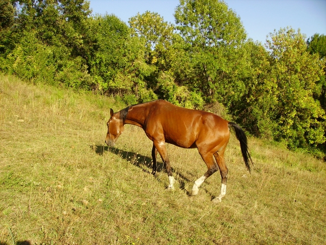 Image hébergée par Casimages.com : votre hébergeur d images simple et gratuit