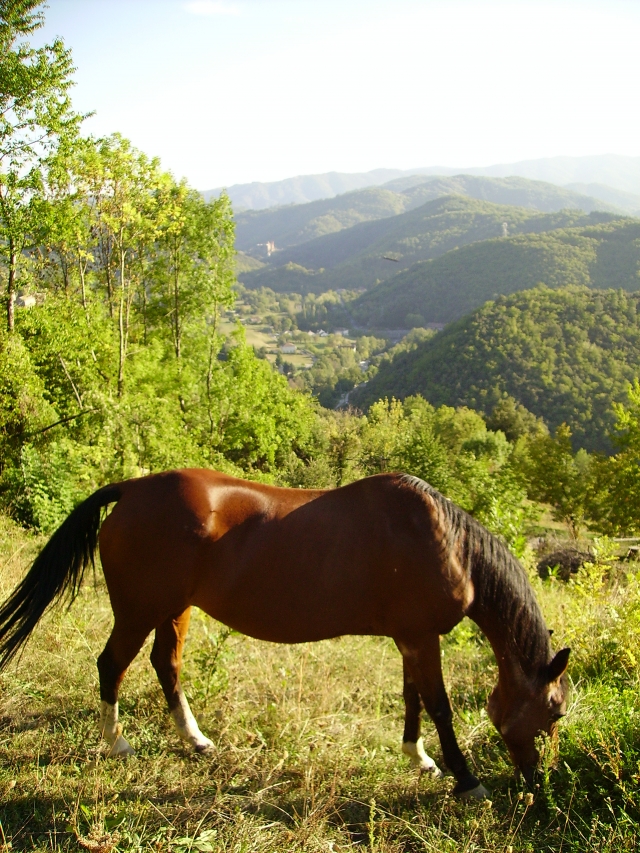 Image hébergée par Casimages.com : votre hébergeur d images simple et gratuit