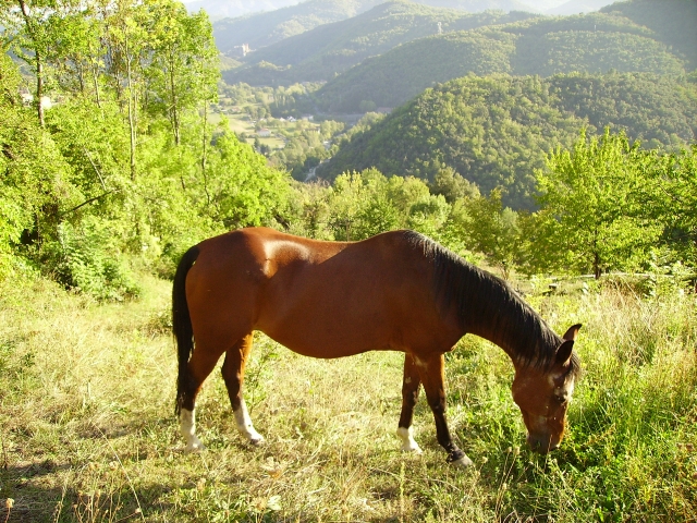 Image hébergée par Casimages.com : votre hébergeur d images simple et gratuit