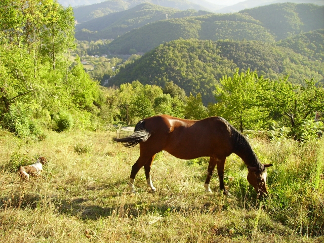 Image hébergée par Casimages.com : votre hébergeur d images simple et gratuit