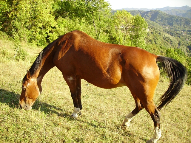 Image hébergée par Casimages.com : votre hébergeur d images simple et gratuit
