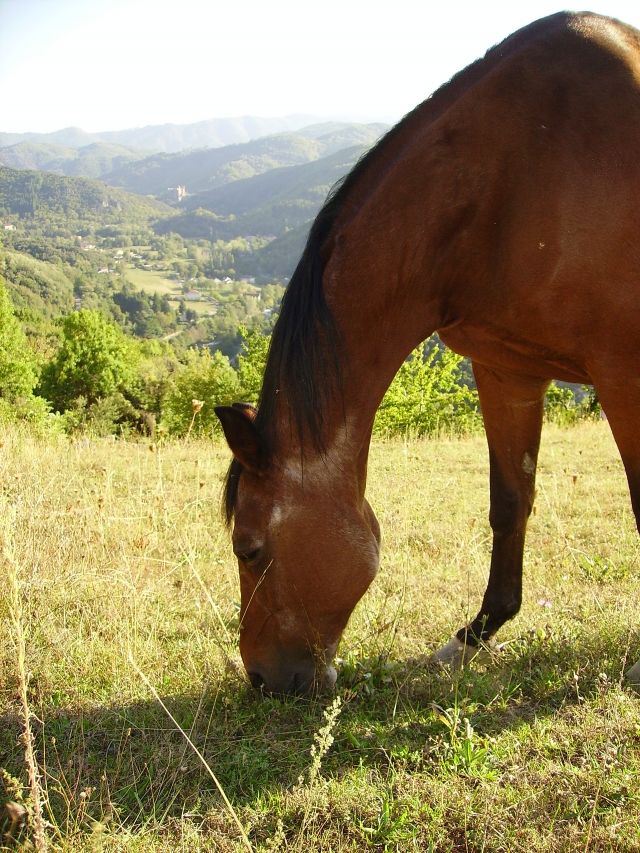 Image hébergée par Casimages.com : votre hébergeur d images simple et gratuit