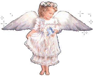 Image hébergée par Casimages.com : votre hébergeur d images simple et gratuit