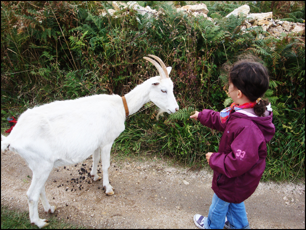 Image hébergée par Casimages.com : votre hébergeur d images simple et gratuit