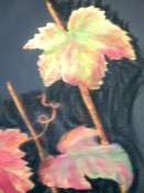 Cliquez pour afficher l'image en taille r�elle