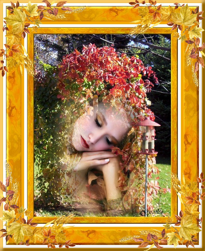 http://nsm02.casimages.com/img/2009/09/26/090926020732616284526126.jpg
