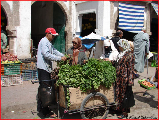 Essaouira