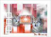themoment2