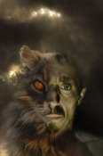 Crea2J_Jcta_Felin