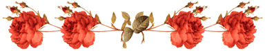 090930060348805294549563.gif