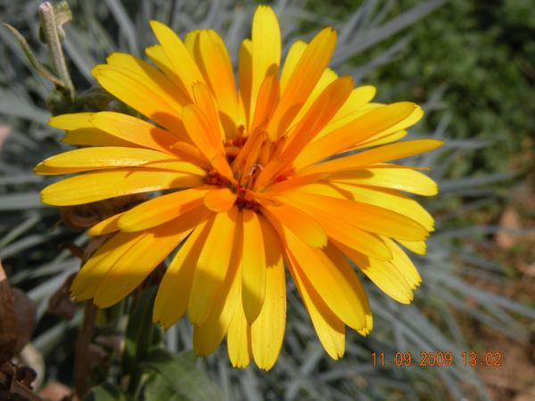 Image hébergée par Casimages.com : votre hébergeur d images simple et gratuit