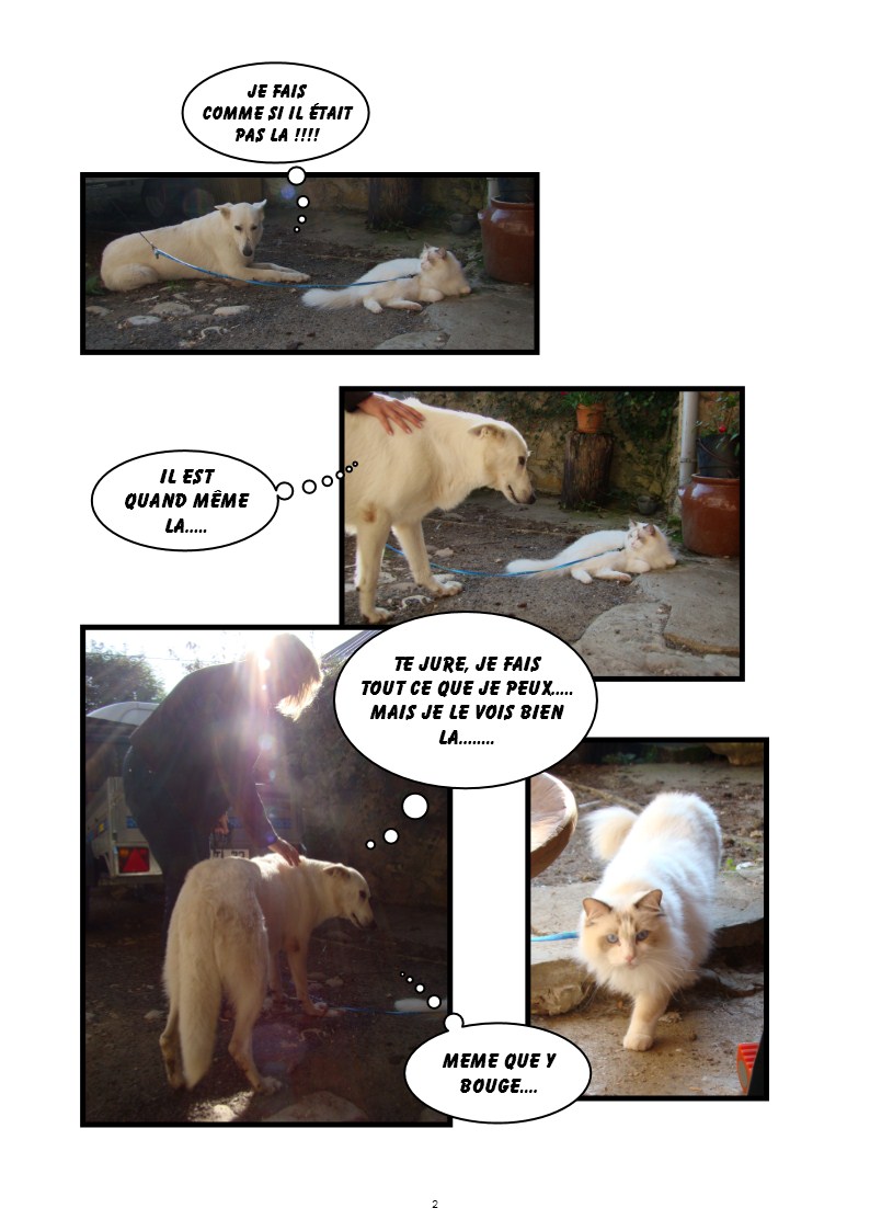 Image h�berg�e par Casimages.com : votre h�bergeur d images simple et gratuit