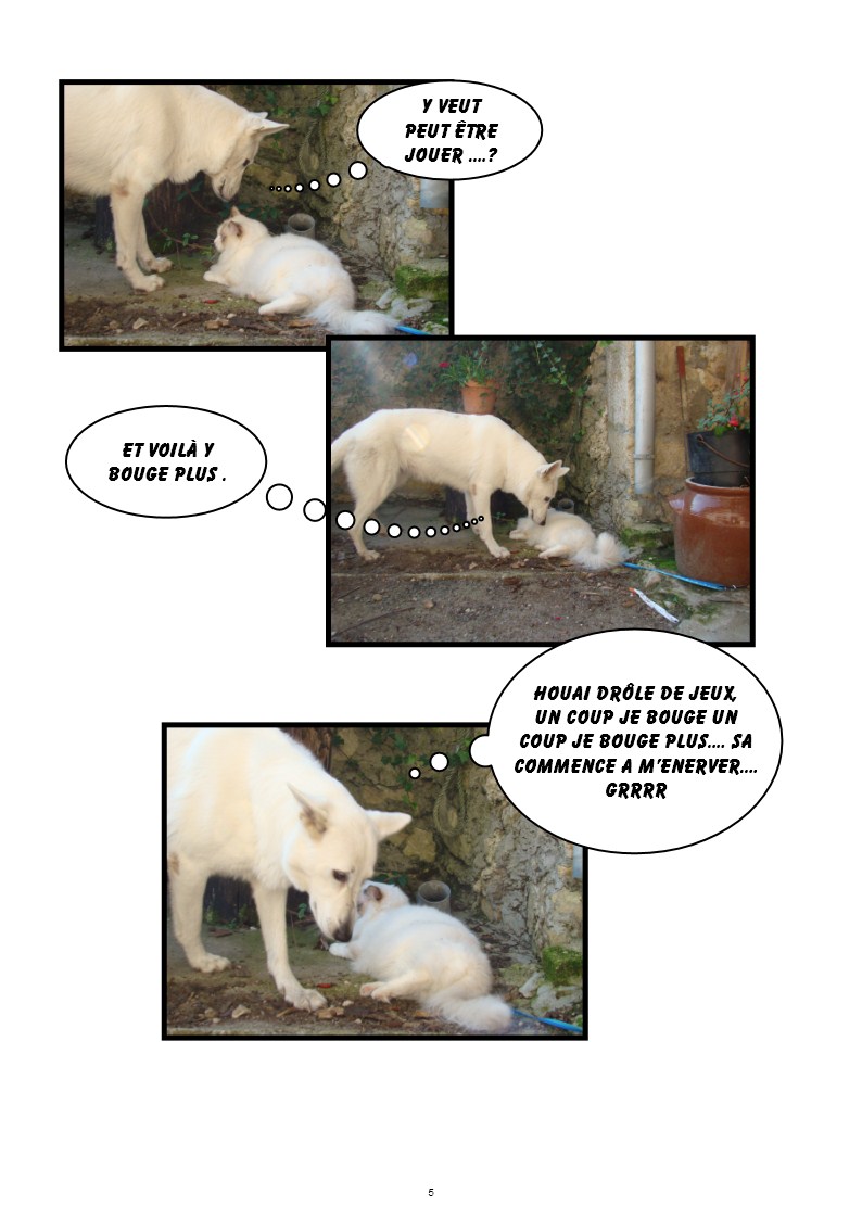 Image h�berg�e par Casimages.com : votre h�bergeur d images simple et gratuit