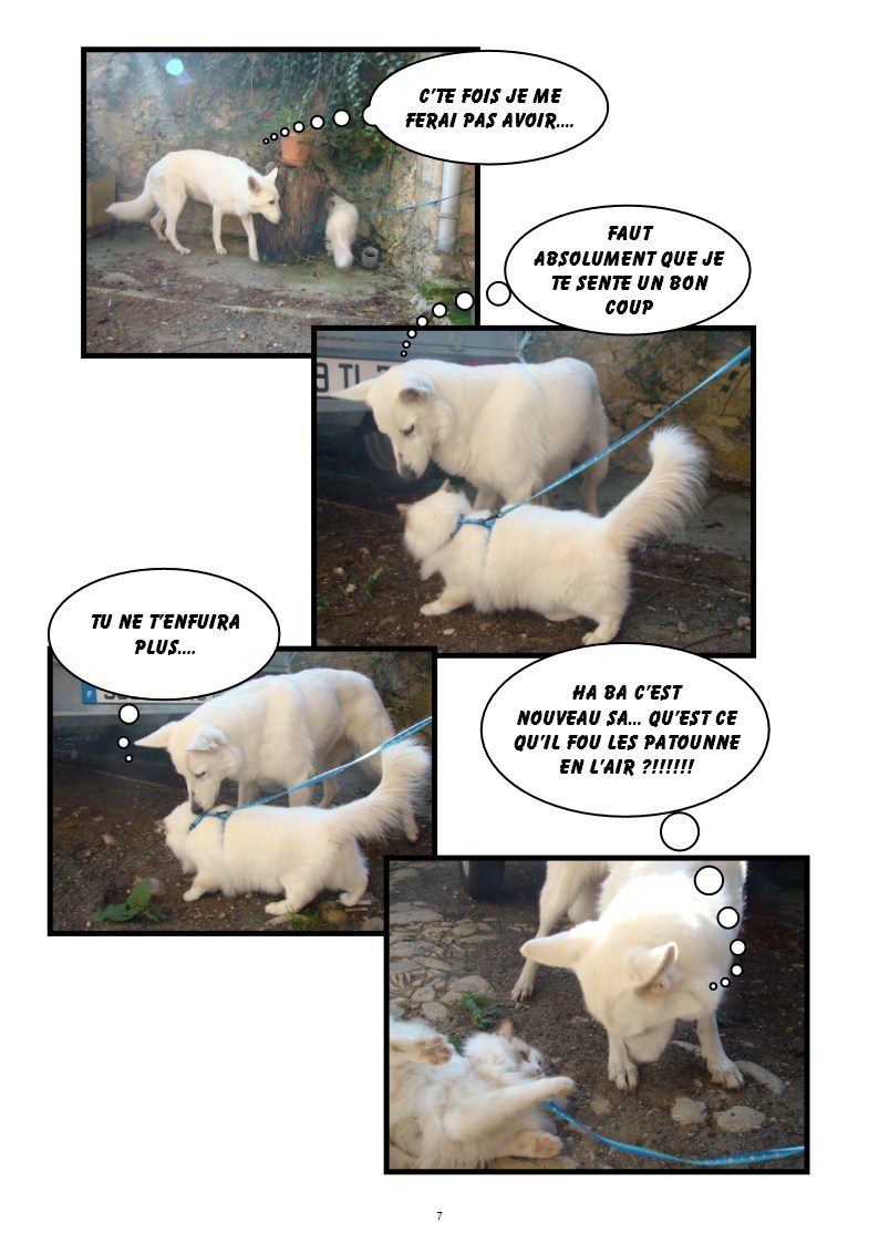 Image h�berg�e par Casimages.com : votre h�bergeur d images simple et gratuit