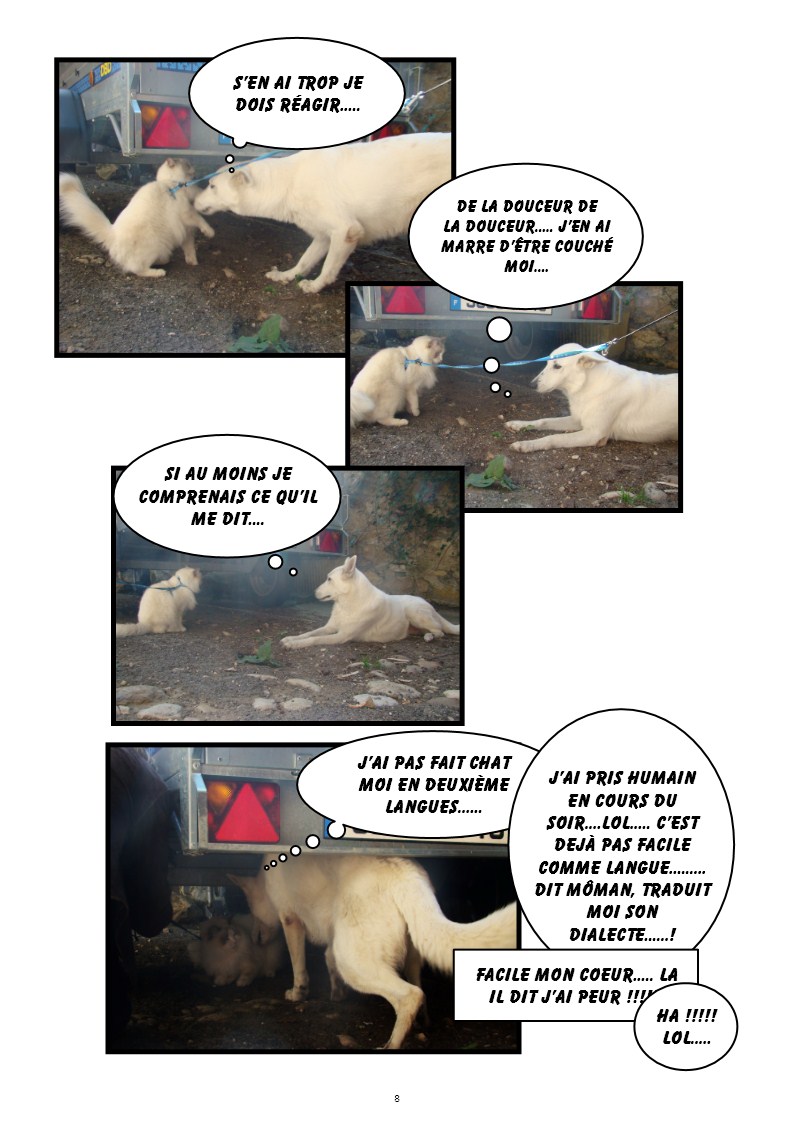 Image h�berg�e par Casimages.com : votre h�bergeur d images simple et gratuit