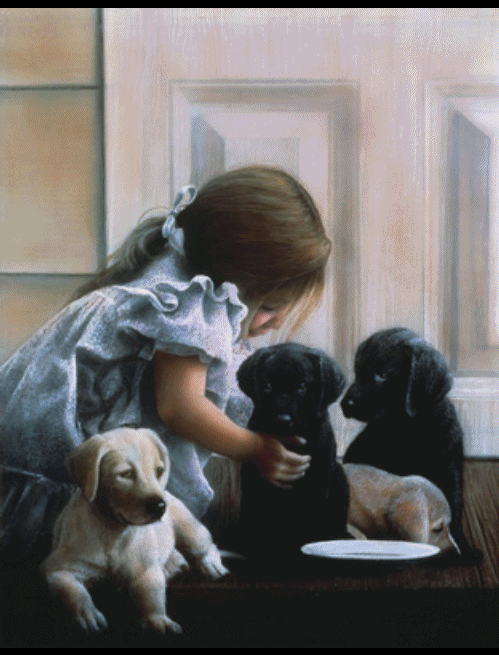 Image h�berg�e par Casimages.com : votre h�bergeur d images simple et gratuit