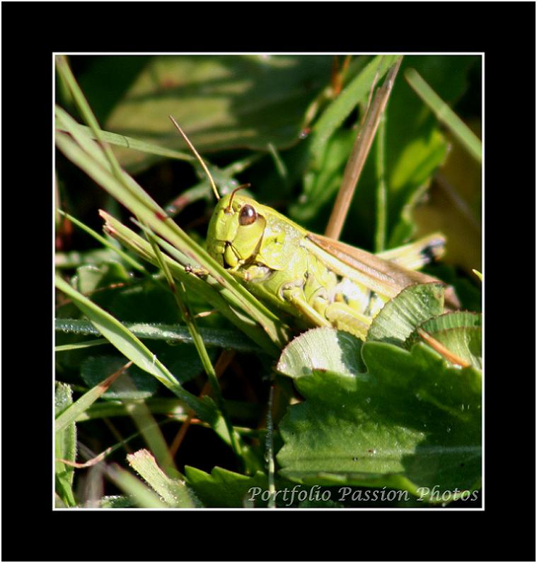 Image hébergée par Casimages.com : votre hébergeur d images simple et gratuit