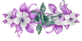 http://nsm02.casimages.com/img/2009/10/02/091002020408616284563812.gif