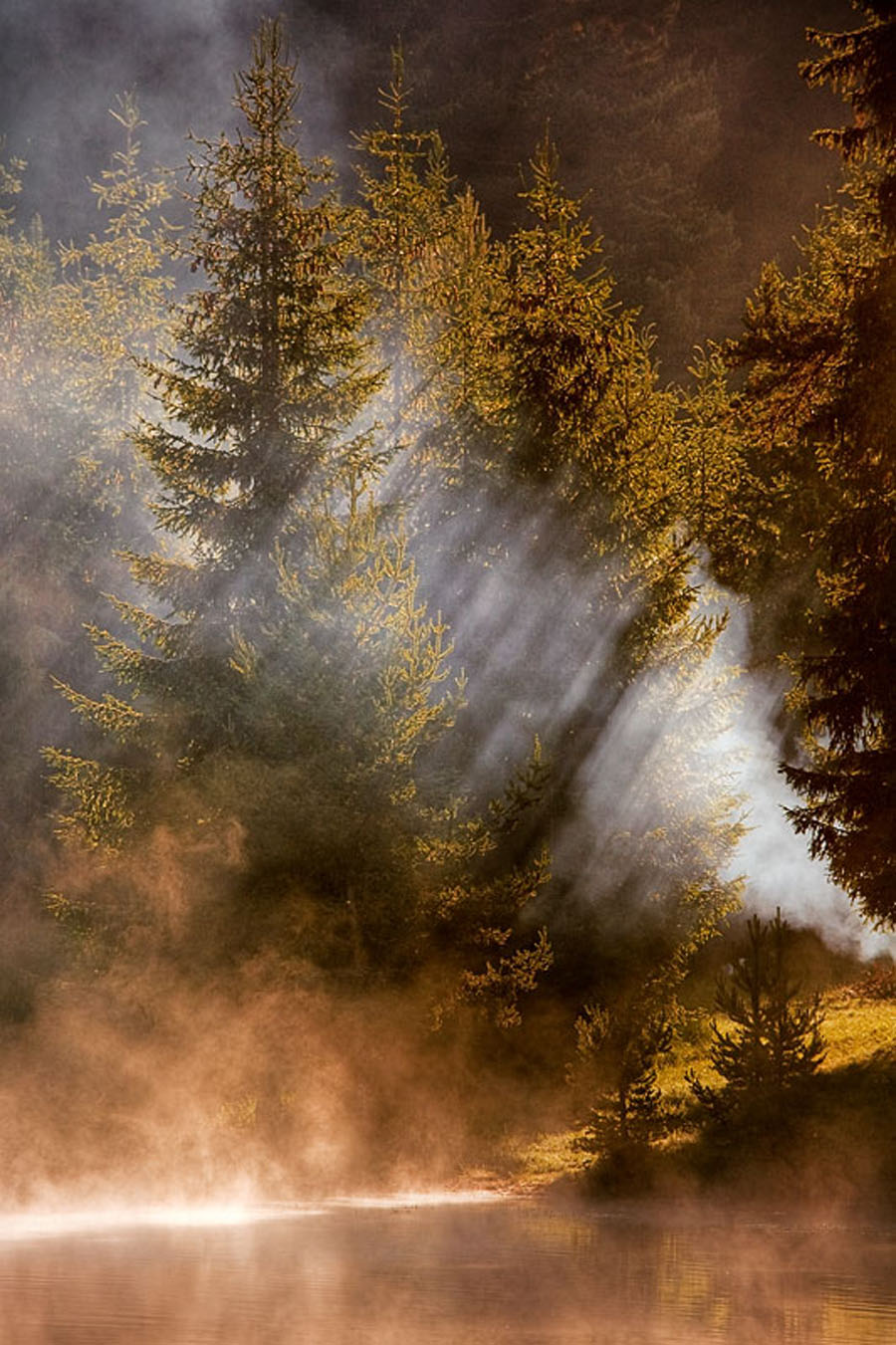 Aa Resimleri (4. Katalog)