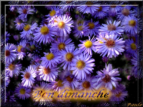 Image hébergée par Casimages.com : votre hébergeur d images simple et gratuit