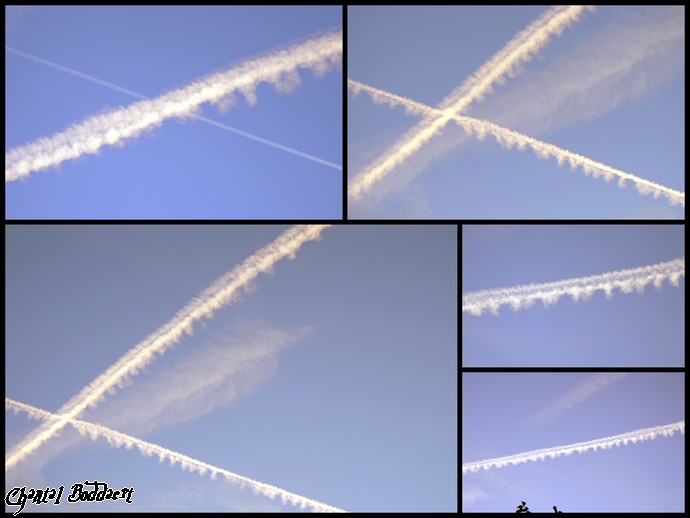 Image h�berg�e par Casimages.com : votre h�bergeur d images simple et gratuit