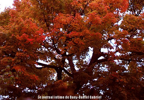 automne 2009 sherbrooke