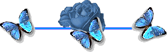http://nsm02.casimages.com/img/2009/10/04/091004024029616284573977.gif