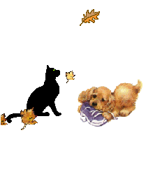 Image hébergée par Casimages.com : votre hébergeur d images simple et gratuit