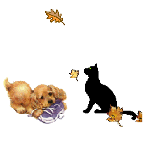 Image hébergée par Casimages.com : votre hébergeur d images simple et gratuit