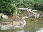 DSC00284.JPG