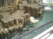 Ueno_zoo.jpg