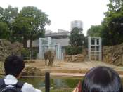 Ueno_zoo.jpg