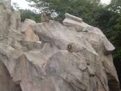 Ueno_zoo.jpg