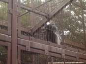 Ueno_zoo.jpg