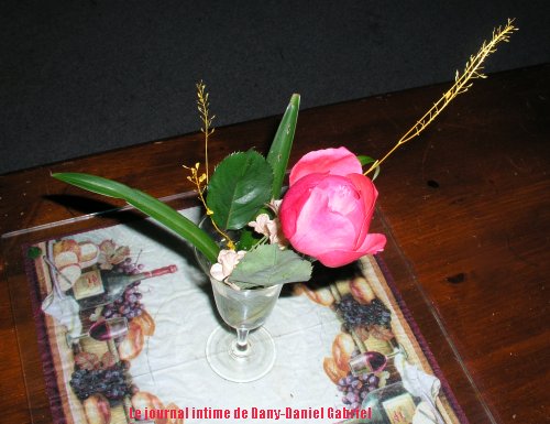 coupe de rose