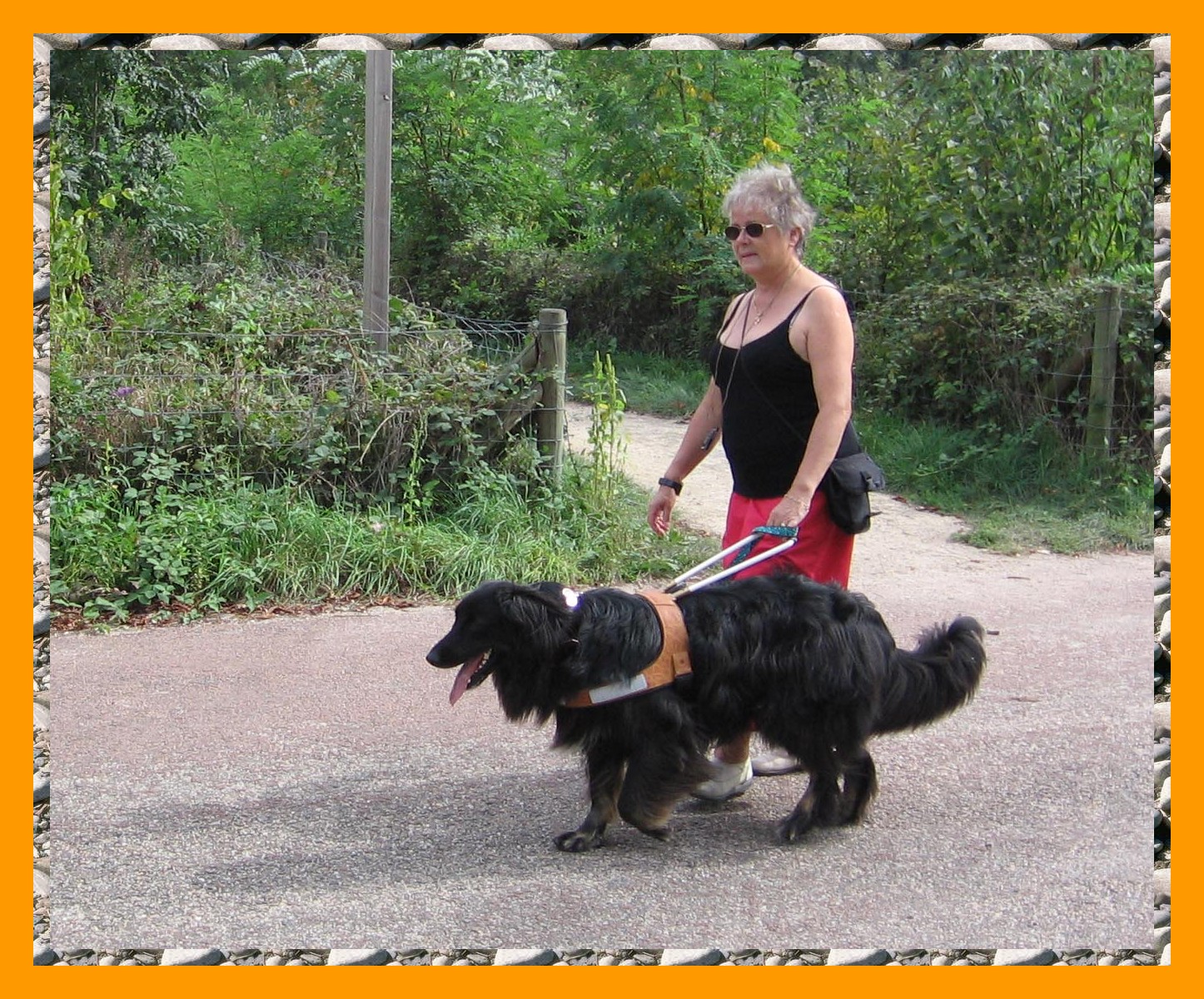 Image h�berg�e par Casimages.com : votre h�bergeur d images simple et gratuit