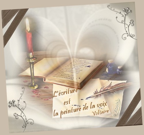 voir l'image en taille réelle