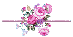 Image h�berg�e par Casimages.com : votre h�bergeur d images simple et gratuit