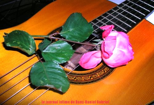 dany daniel gabriel photographie