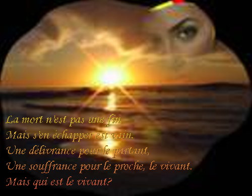 voir l'image en taille réelle