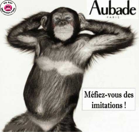 Image hébergée par Casimages.com : votre hébergeur d images simple et gratuit