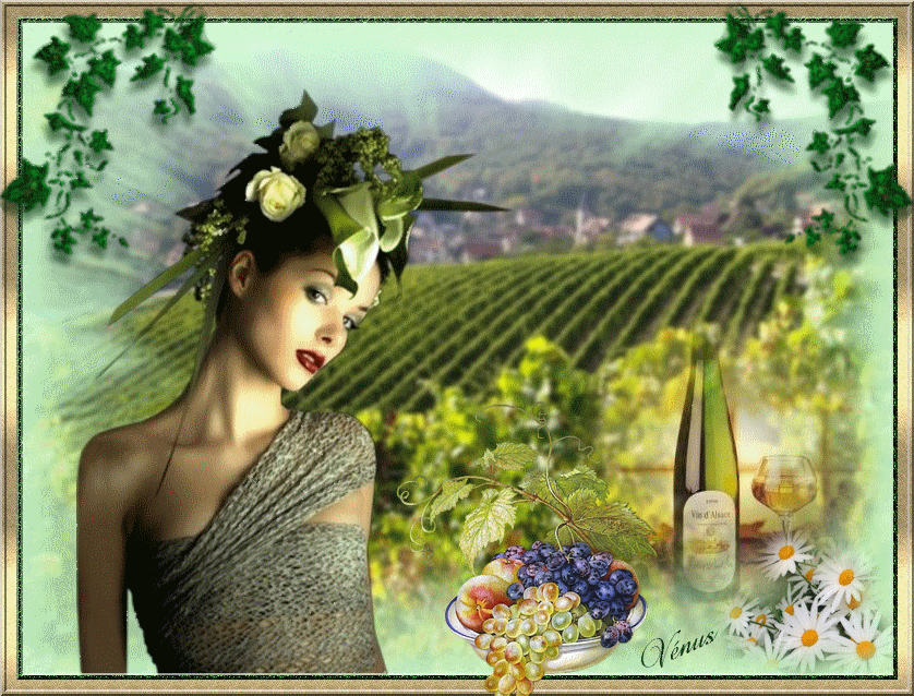 Image hébergée par Casimages.com : votre hébergeur d images simple et gratuit