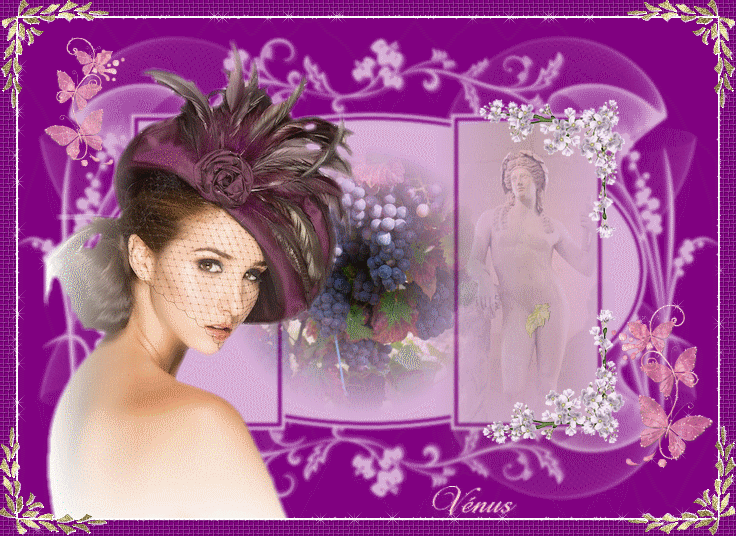 Image hébergée par Casimages.com : votre hébergeur d images simple et gratuit