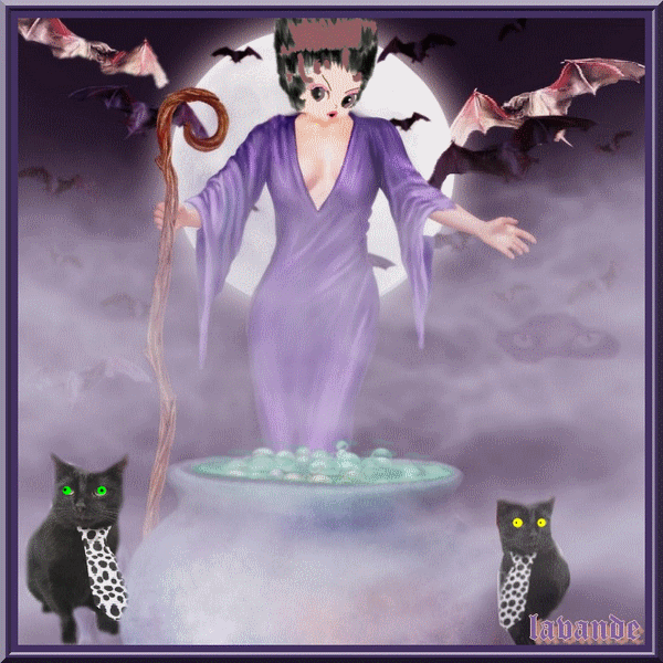 Image hébergée par Casimages.com : votre hébergeur d images simple et gratuit