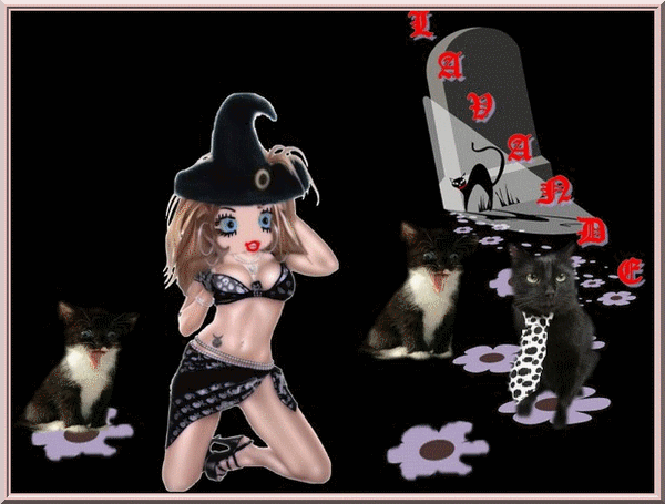 Image hébergée par Casimages.com : votre hébergeur d images simple et gratuit
