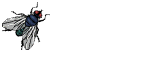Image h�berg�e par Casimages.com : votre h�bergeur d images simple et gratuit