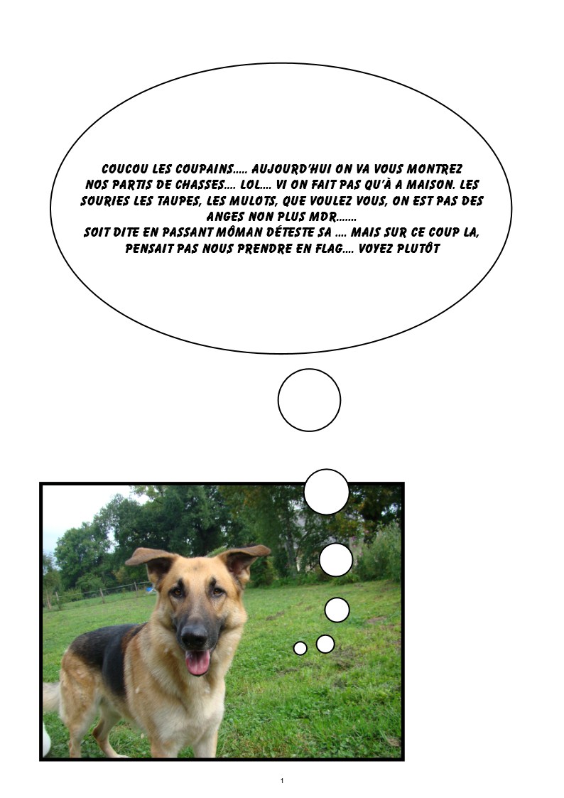 Image h�berg�e par Casimages.com : votre h�bergeur d images simple et gratuit