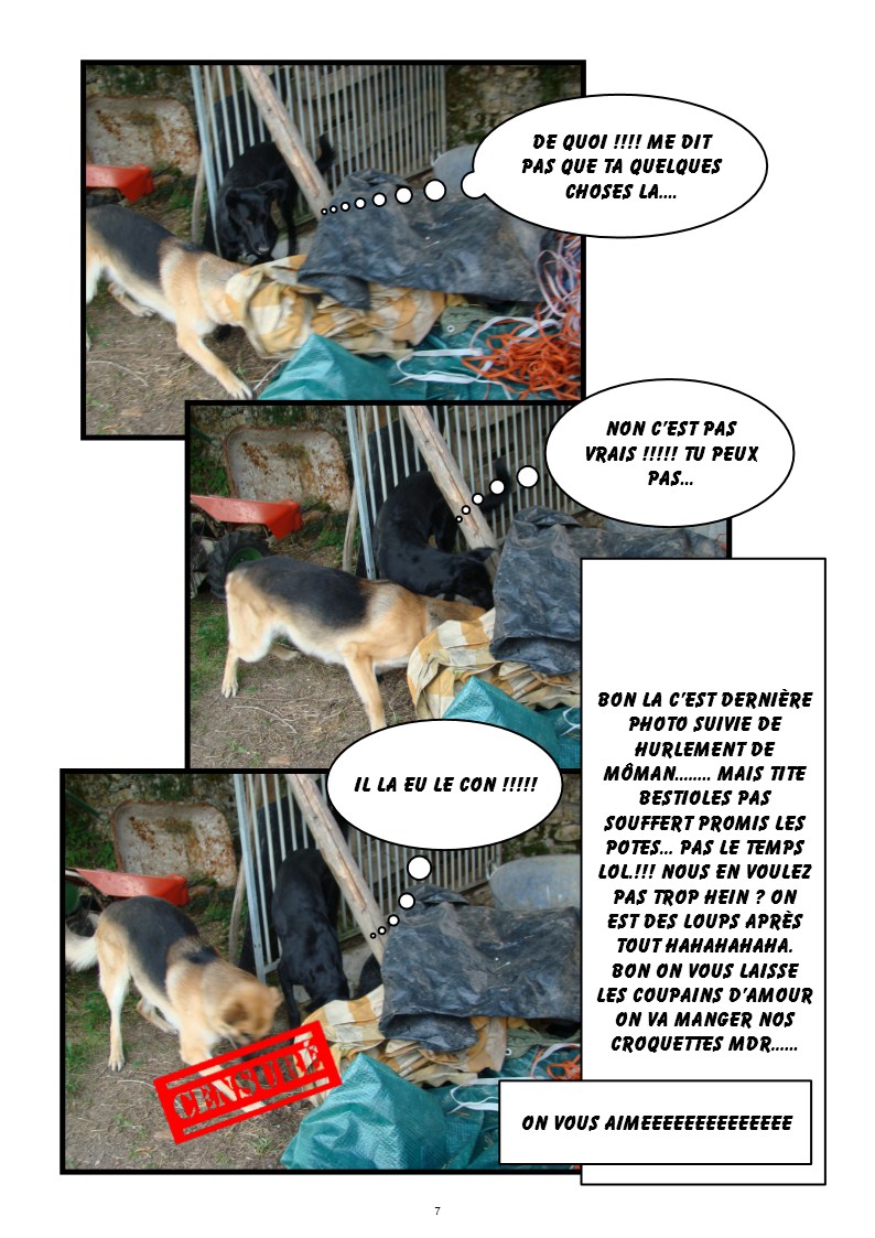 Image h�berg�e par Casimages.com : votre h�bergeur d images simple et gratuit